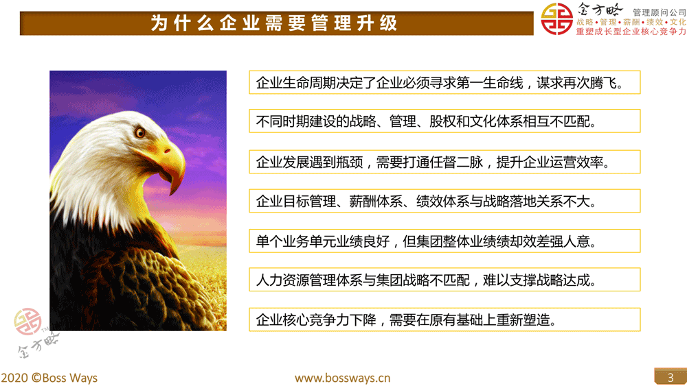 战略管理股权文化一体化方案