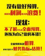 成长型企业全面预算解决方案