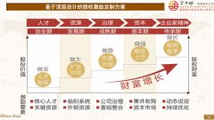 【案例】空调行业动态股权激励全案项目