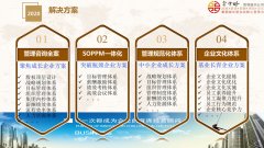 【案例】成长企业薪酬激励管理体系设计方案