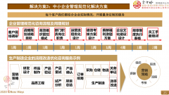 实体企业管理制度流程再造及运作规范化方案2020