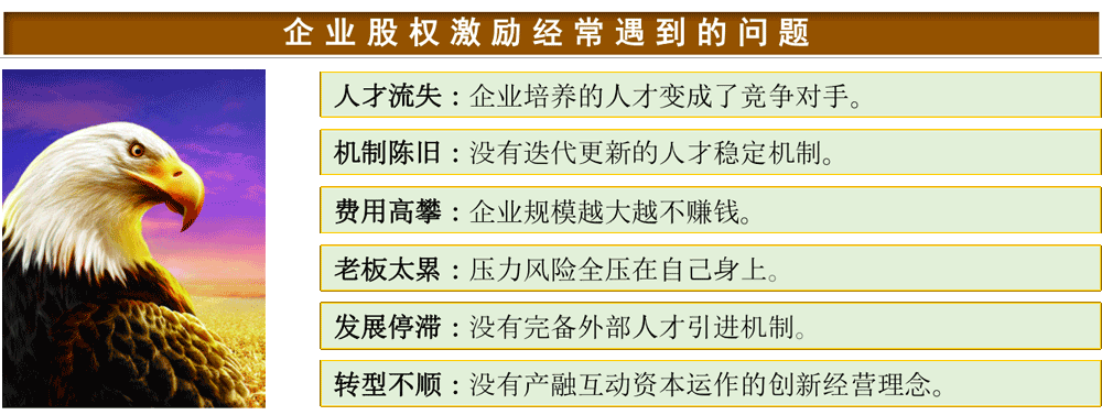 企业股权激励方案设计时经常遇到的问题