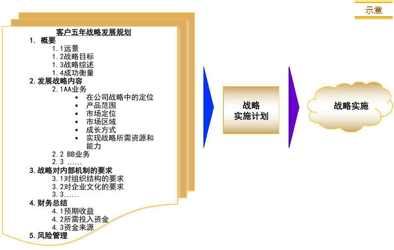 五年战略发展规划报告