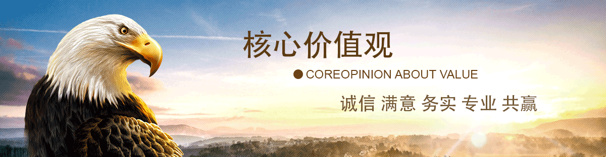 核心价值观