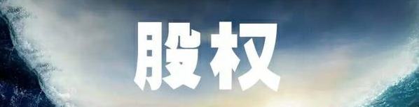 合伙人制度下的股权激励方案(图20)