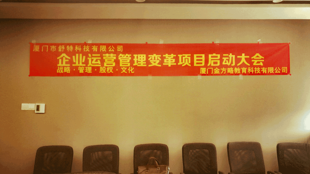 企业运营管理变革管理咨询启动会