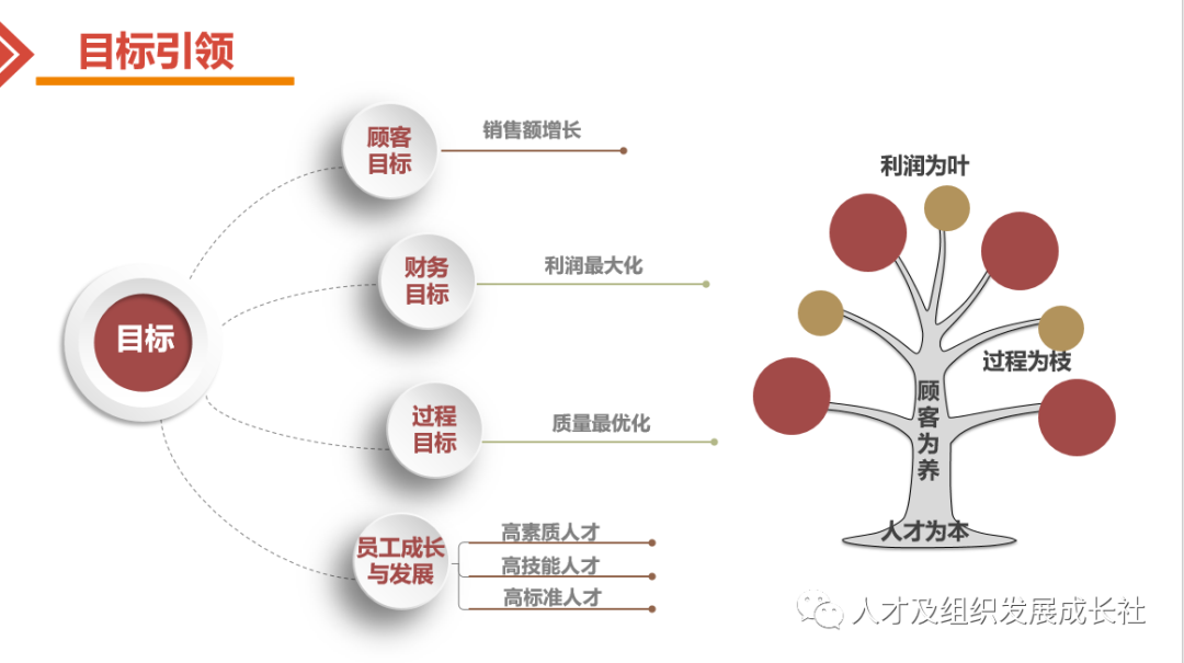 企业组织战略管理模型(图5)