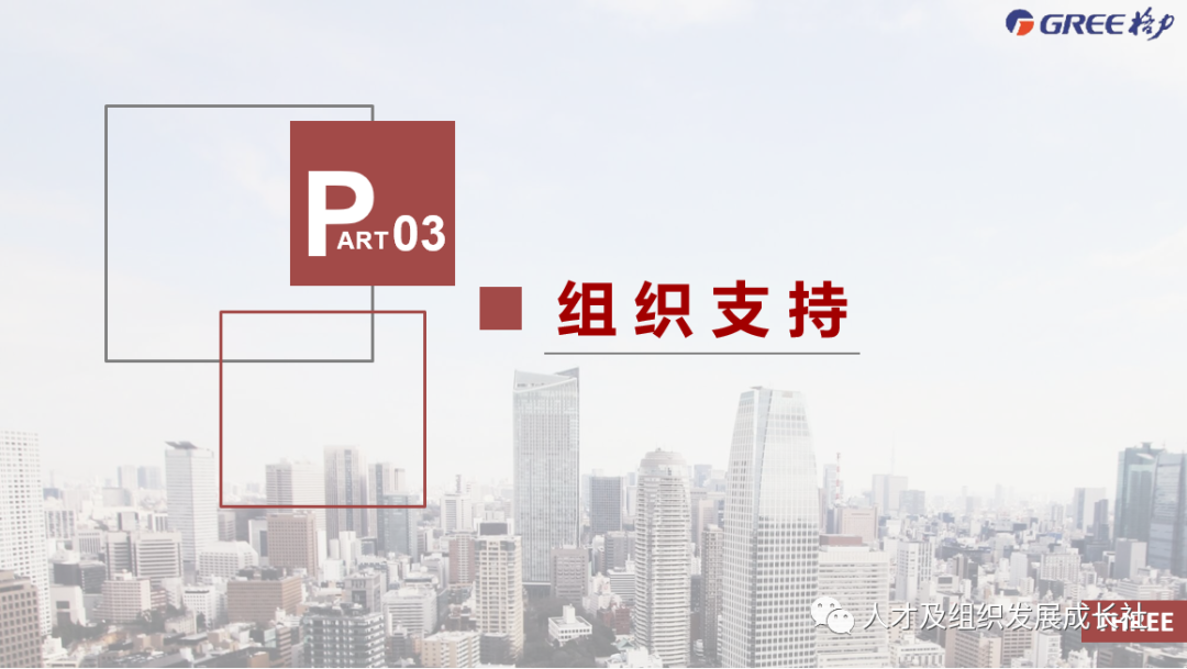 企业组织战略管理模型(图25)