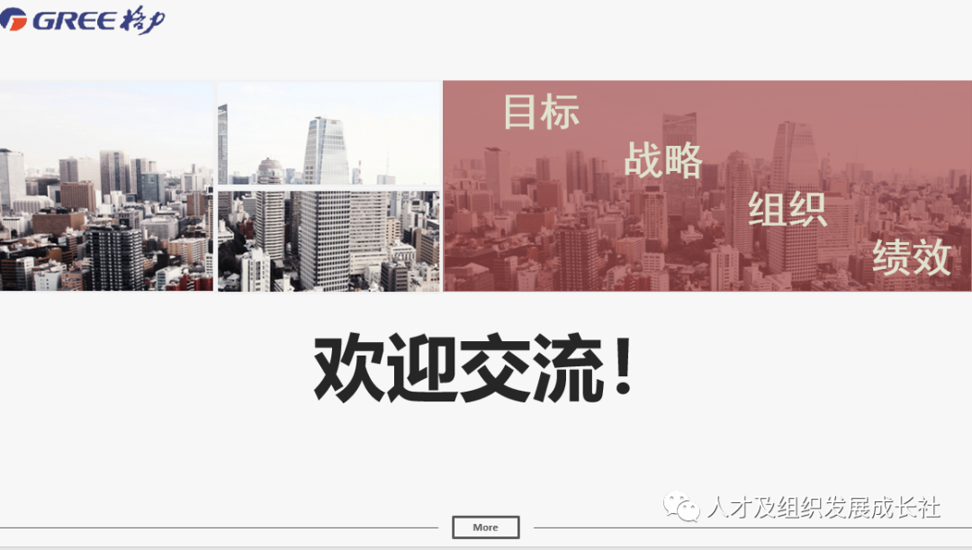 企业组织战略管理模型(图35)