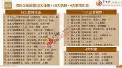 成长企业高效运营15大管理体系10激励机制4大管理制度分享
