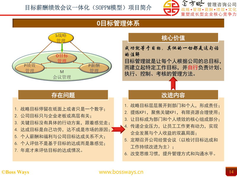 目标薪酬绩效会议一体化（SOPPM）方案项目