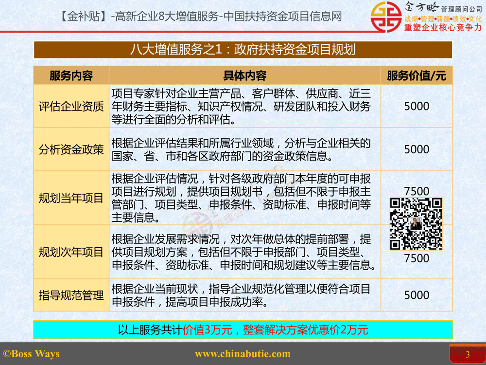 政府扶持资金项目规划