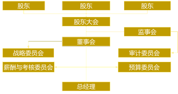 【经营模式咨询案例】法人治理结构优化设计方案分享