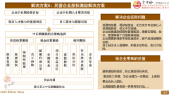 民营企业股权激励方案实务股权激励方案操作要点2020