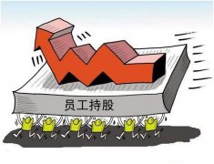 员工持股计划与股权激励对比和区别?