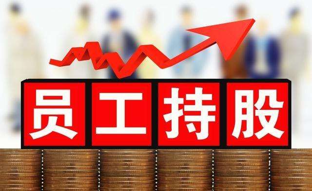 员工持股计划与股权激励对比和区别?