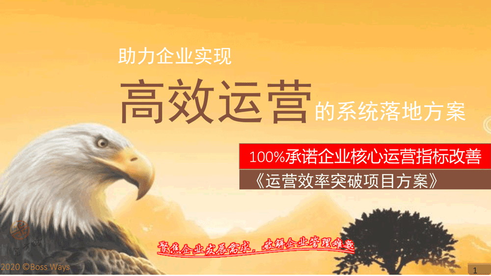 企业运营效率提升专项关键绩效指标辅导方案