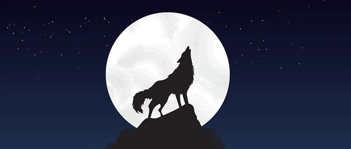 咨询顾问基本功—如何提高解决问题的能力