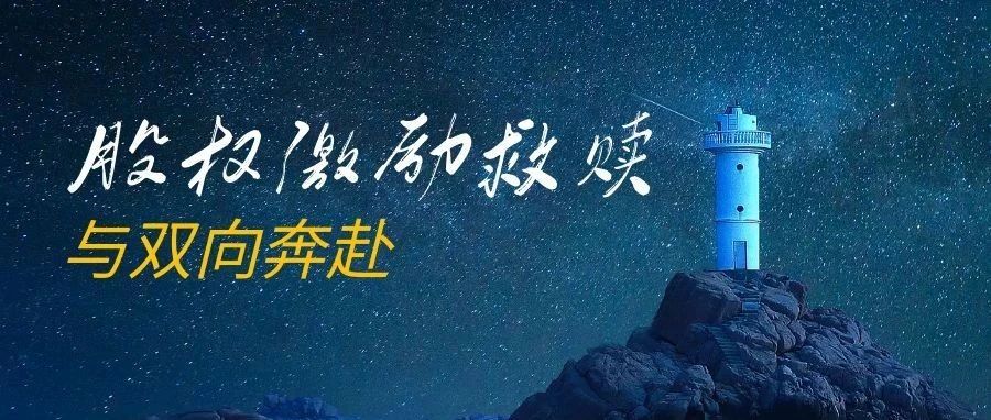 一家亏损企业的股权激励救赎与双向奔赴